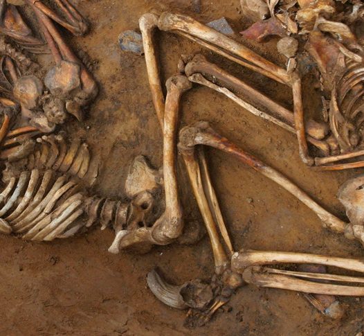 Club de l’Experiència Alumni · Cicle arqueologia i espoli arqueològic · L’arqueologia de l’espoli